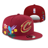 Cleveland Cavaliers NBA snapbacks adjustable hats