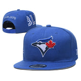 Tampa Bay Rays MLB snapbacks adjustable hats